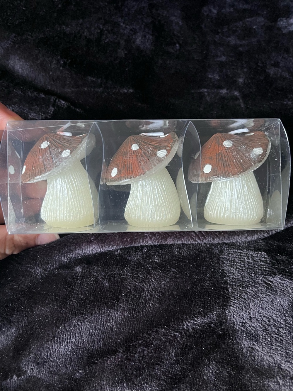 NWT NIB Ashland Mushroom Candles set of 3
